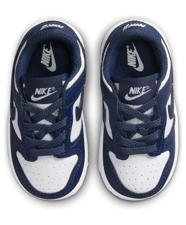 nike-dunk FB9107-116