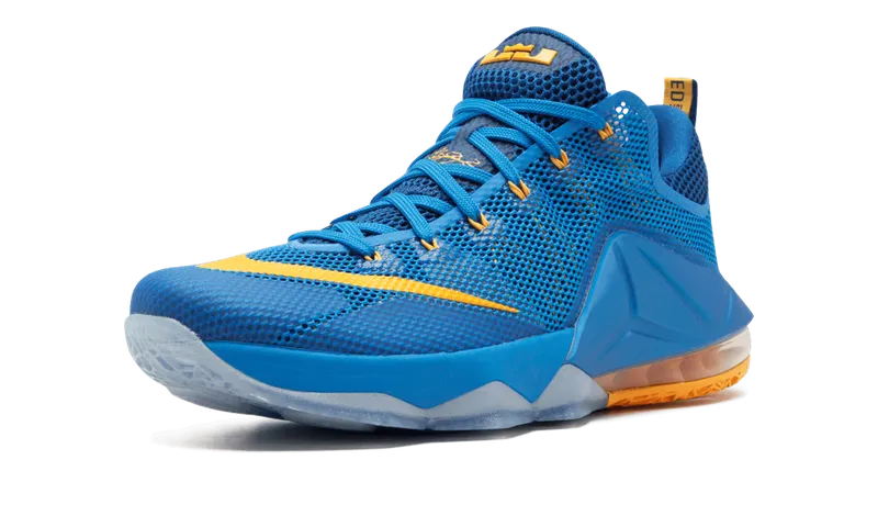 Nike Lebron 12 Low “Entourage” (724557-484)