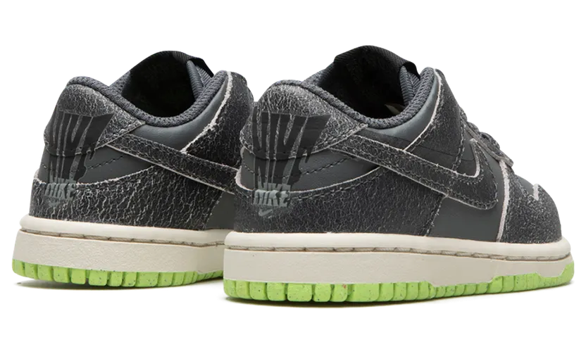 nike-dunk DQ6217-001