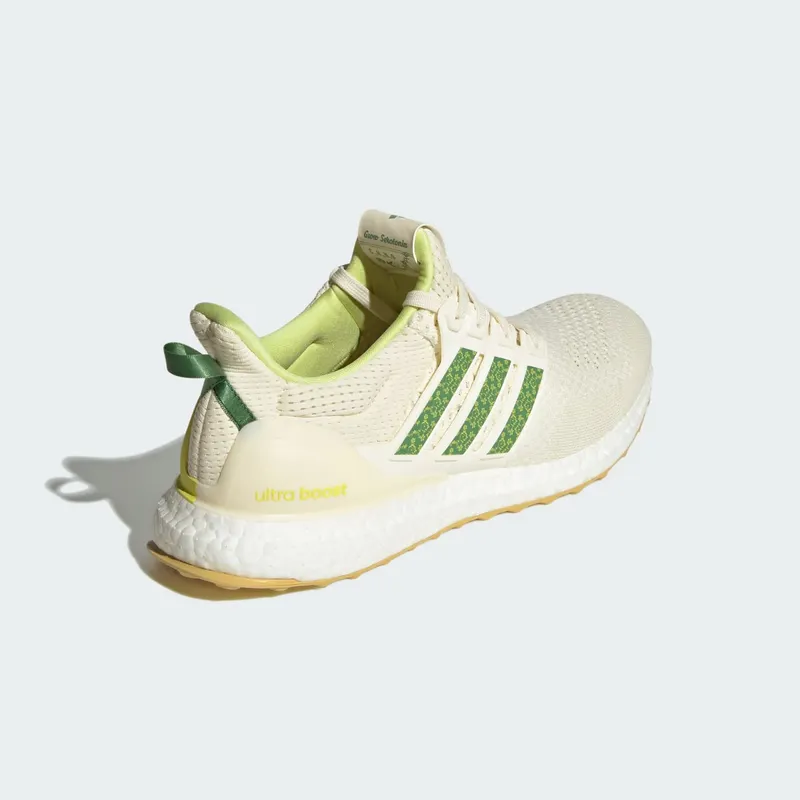 adidas Ultra Boost 1.0 The Hidden Opponent (JS1646)