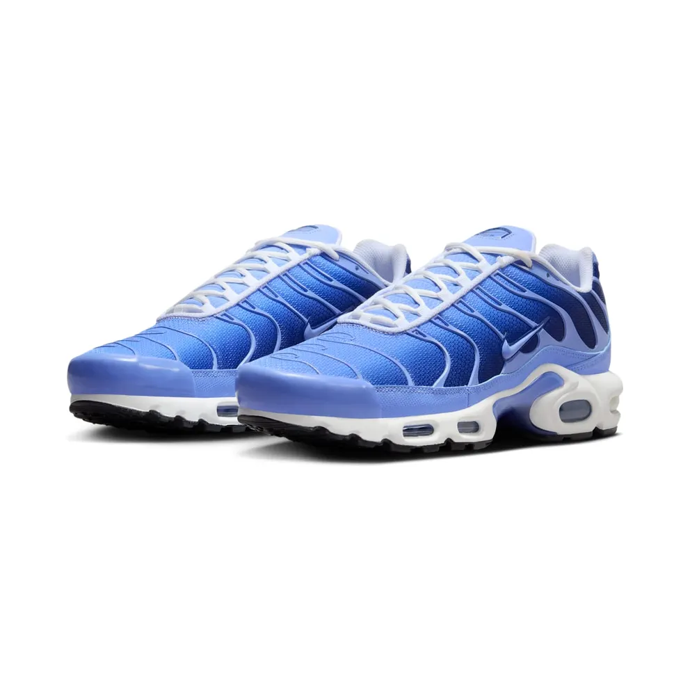 Nike Air Max Plus Blue (DM0032-403)