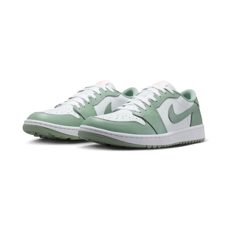 air-jordan-1 DD9315-008