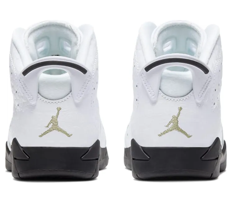 air-jordan-6 384666-110