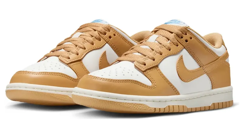 nike-dunk FB9109-700