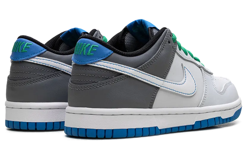 nike-dunk DH9765-004