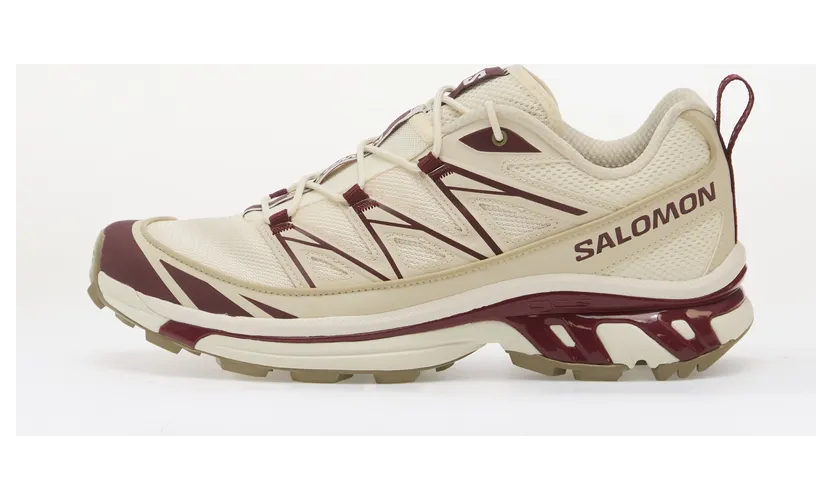 Sneakers Salomon XT-6 Expanse Vanila/ Maroob/ Almilk (L49201600)