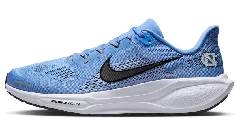 Nike Air Zoom IB3263-400