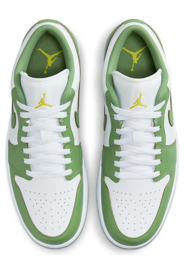 air-jordan-1 HF4823-100