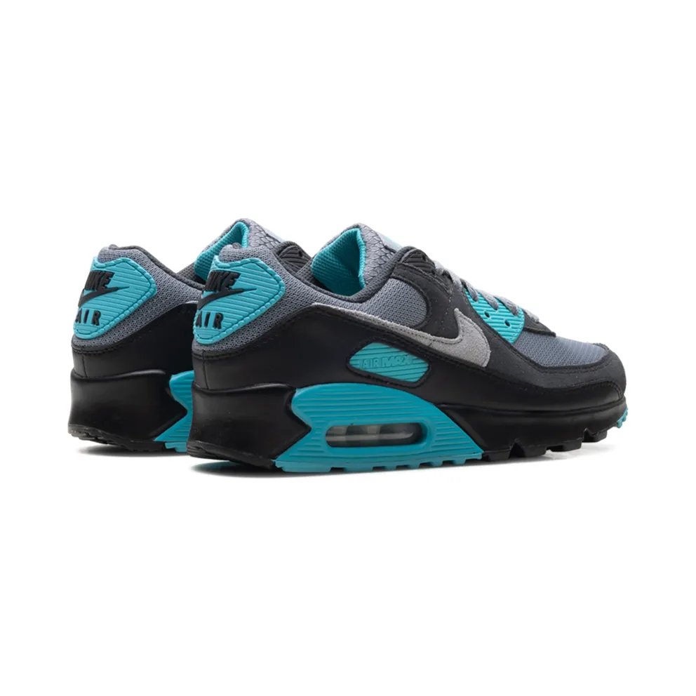 Nike Air Max 90 “Dusty Cactus” (DM0029-013)