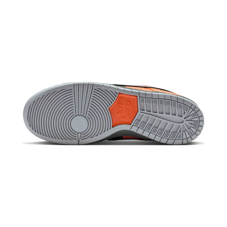 nike-dunk-sb IR1888-800