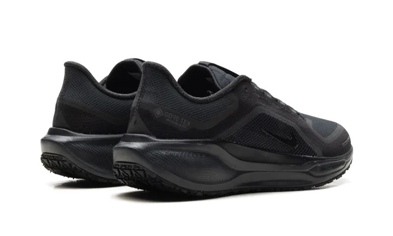 Nike Air Zoom Pegasus 41 GTX “Black Anthracite” (FQ1356-001)