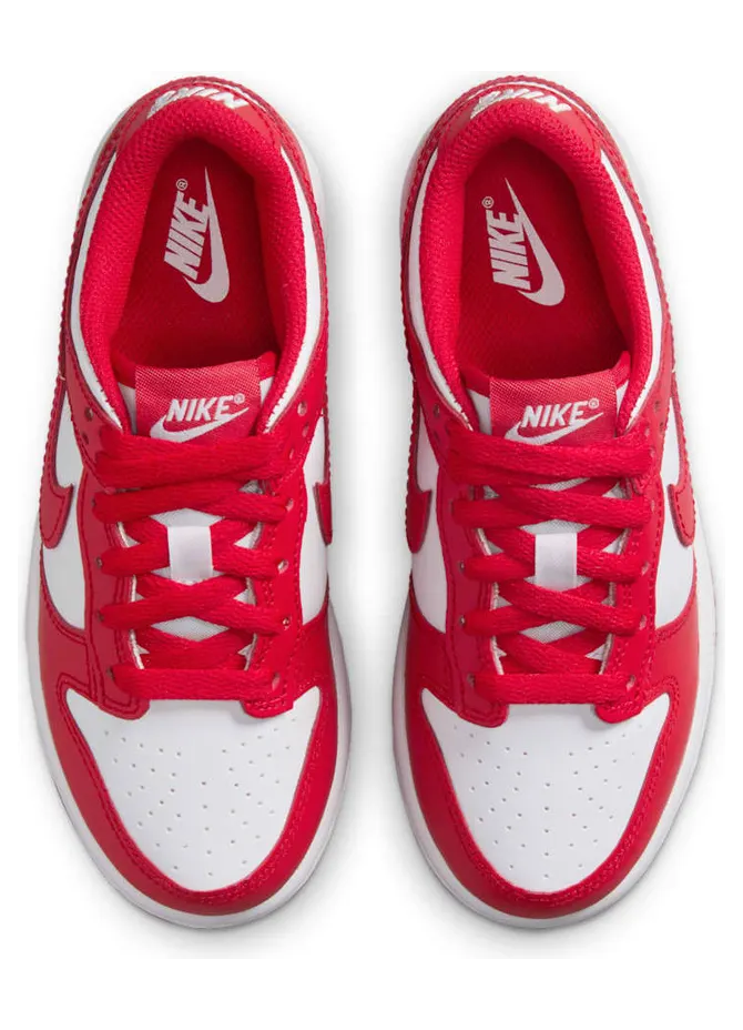 nike-dunk FB9108-119