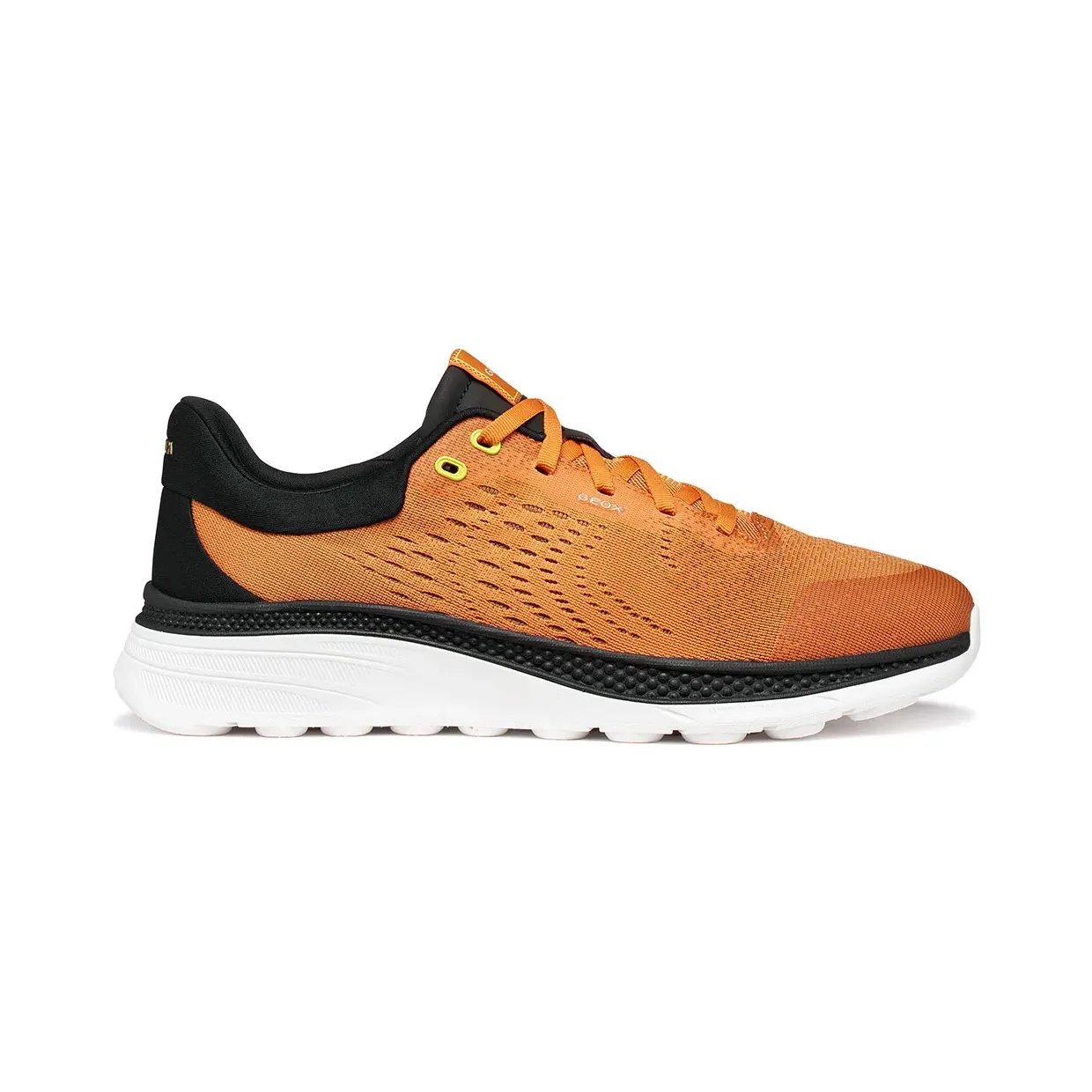 geox-spherica U65HUB0006K-C0569