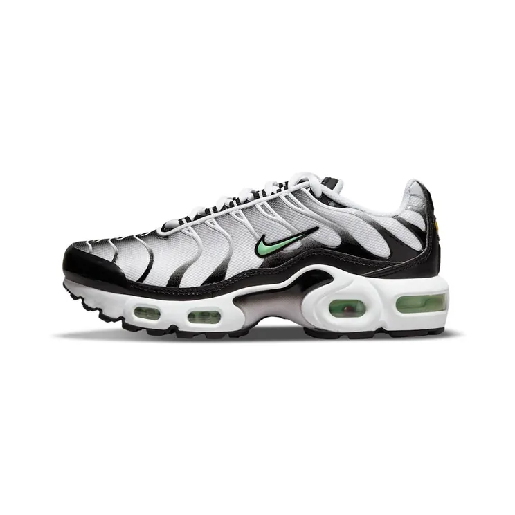 Nike Air Max Plus “White / Black / Reflect Silver / Fresh Mint” (CD0609-106)