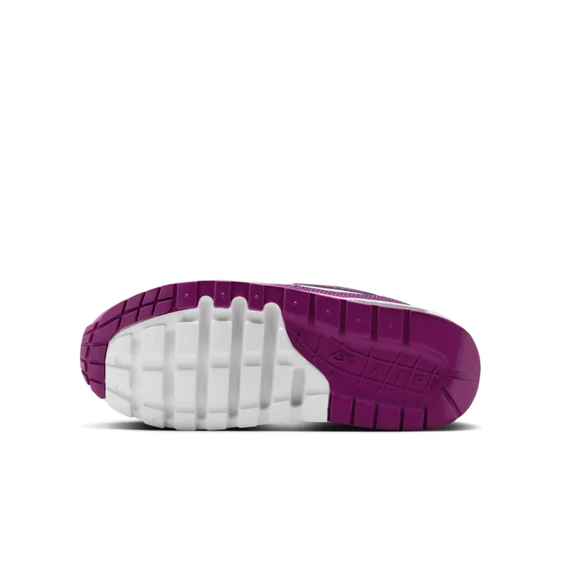 Nike Air Max 1 Summit White Viotech (DZ3307-109)