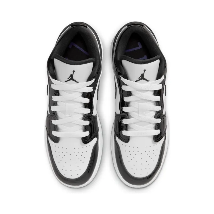 air-jordan-1 DV1333-100