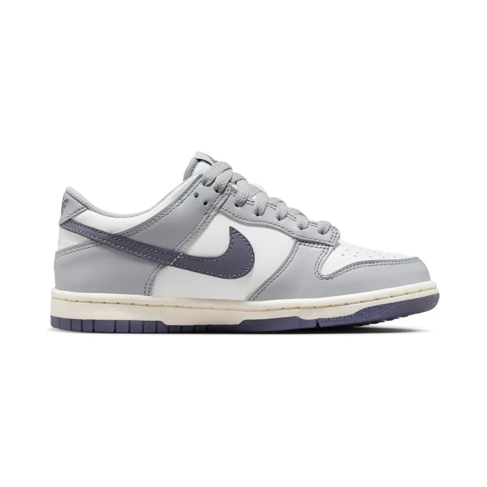 Nike Dunk Low SE Light Carbon Grey (GS) (FB9109-101)