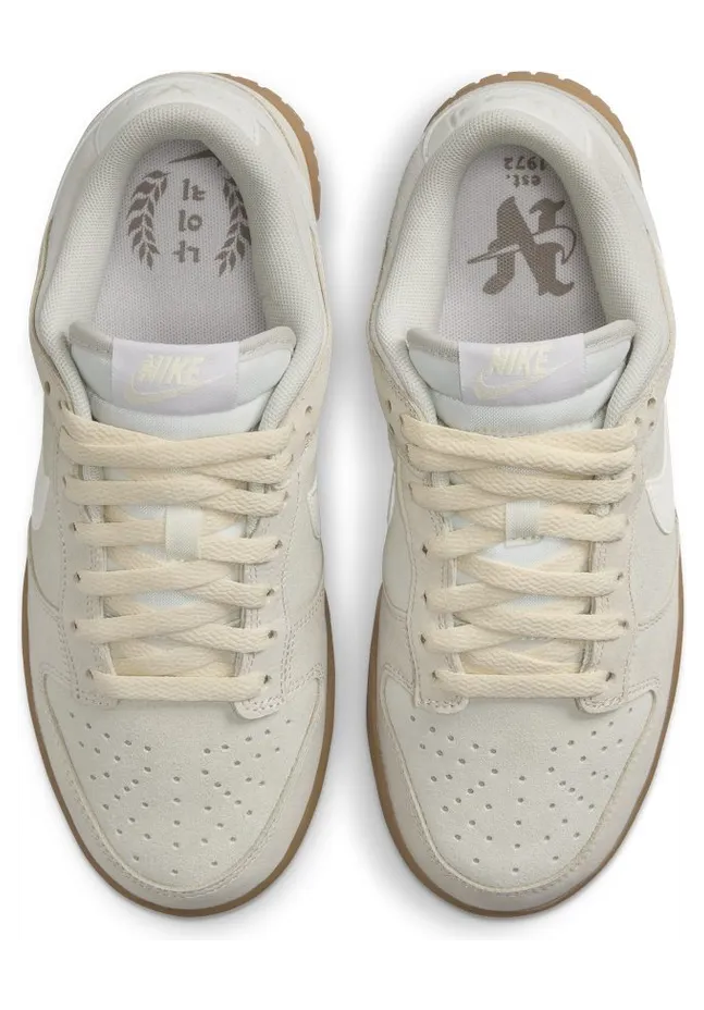 nike-dunk FQ8147-104