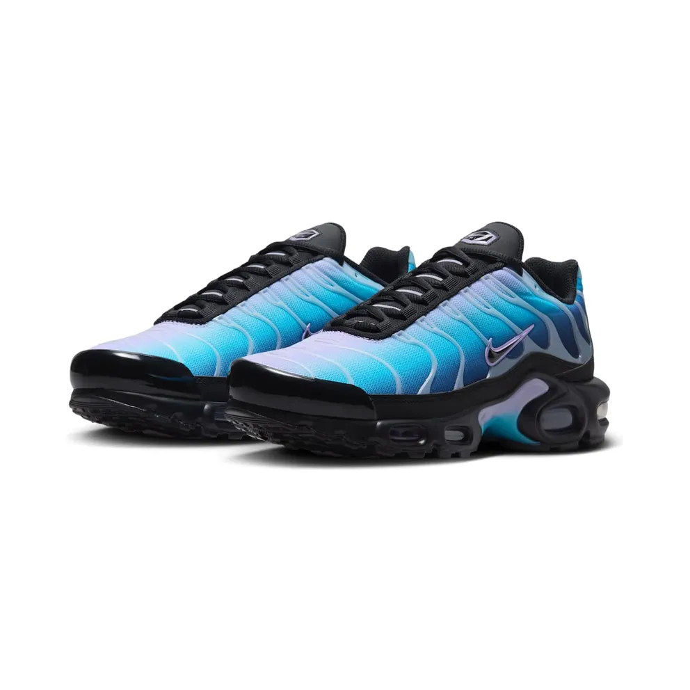 Nike Air Max Plus Black Hydrangeas (HV2510-001)