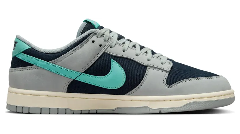 nike-dunk FB8895-001