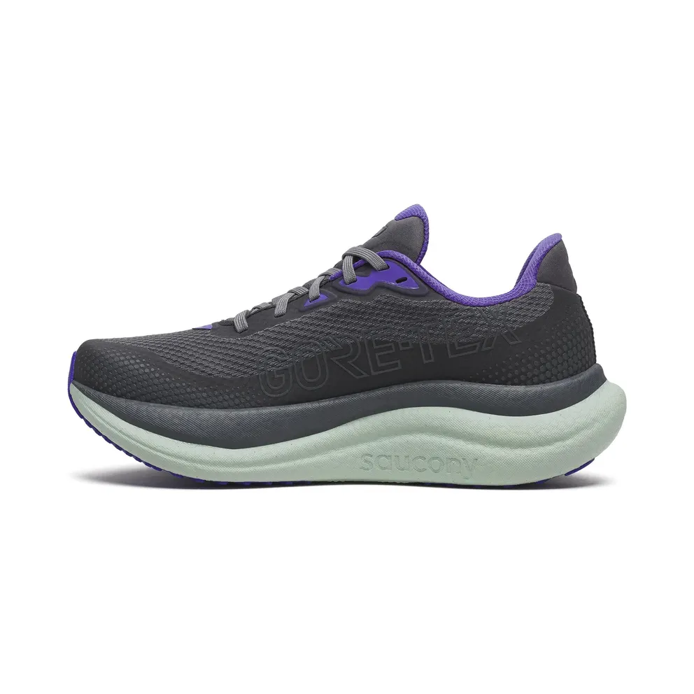 SAUCONY Triumph 23 GTX “Shadow / Aloe” (S11025-01)