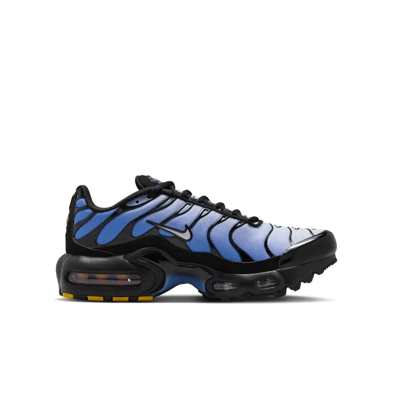 Nike Air Max Plus Black (CD0609-045)
