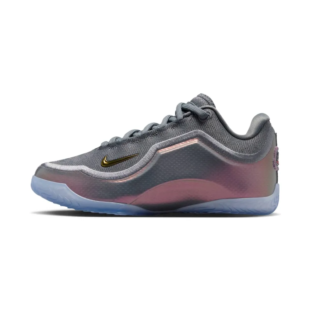 Nike LeBron Twenty-Three Cool Grey / Black / Cool Grey (IV4797-002)