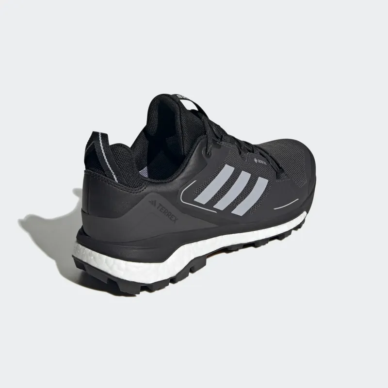 adidas Terrex Skychaser GORE-TEX Hiking 2.0 Core Black / Halo Silver / Dgh Solid Grey (HR1284)
