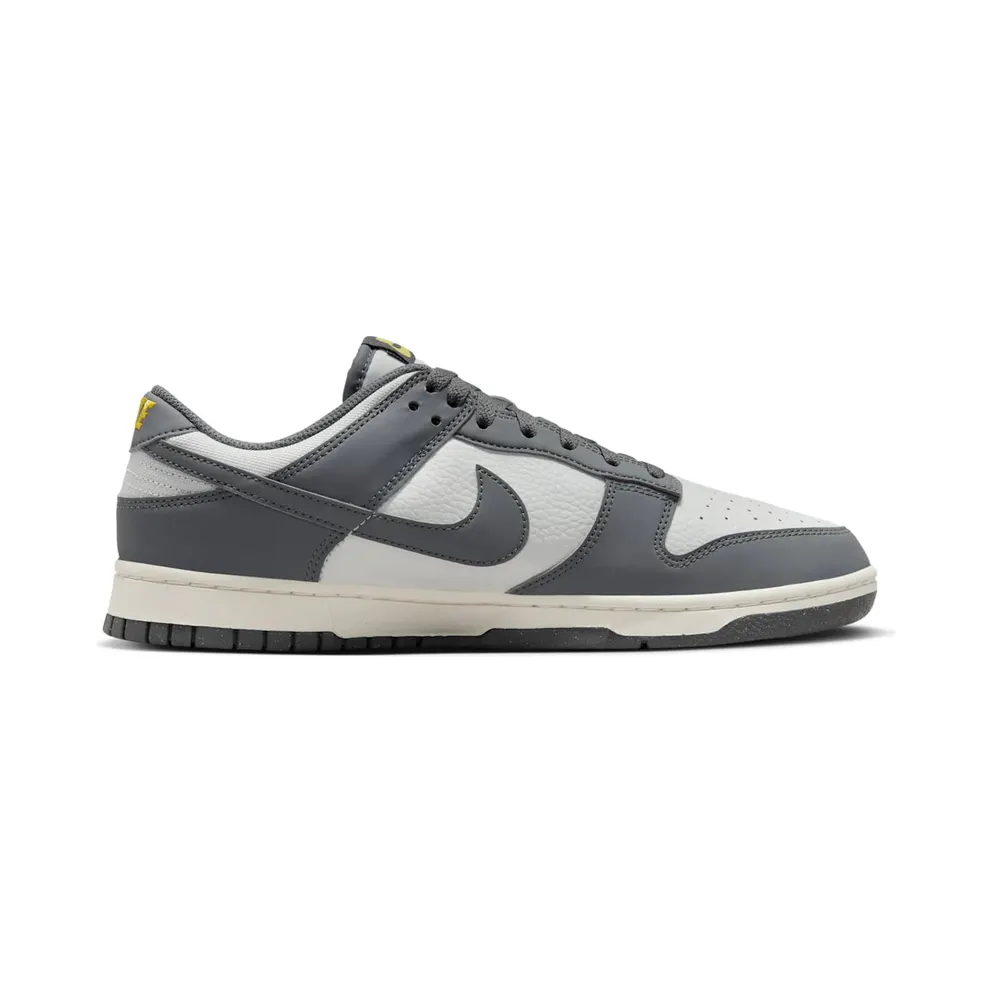 Nike Dunk Low Next Nature Iron Grey (FZ4621-001)