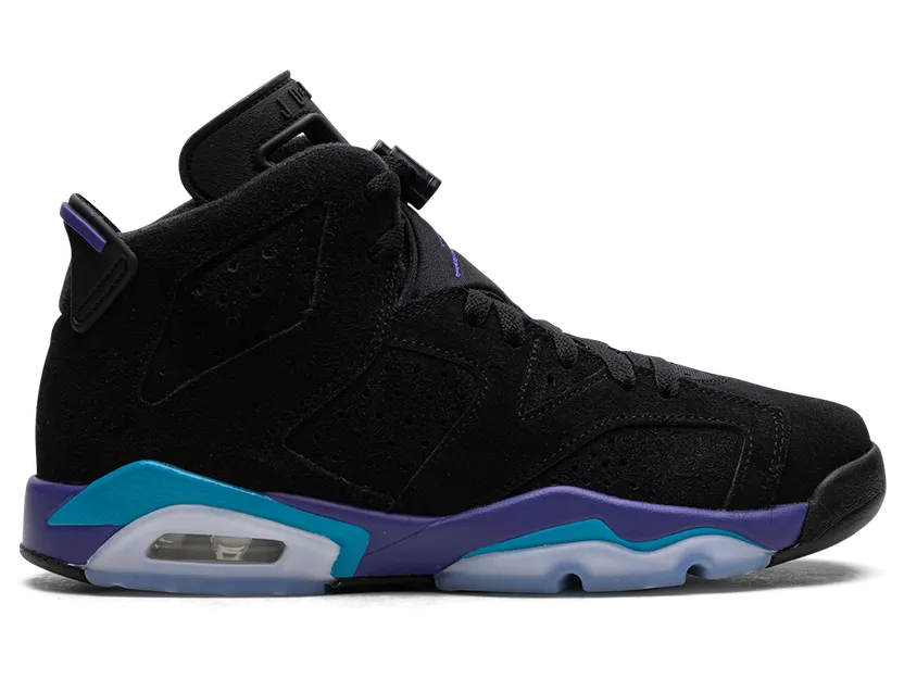 air-jordan-6 384665-004