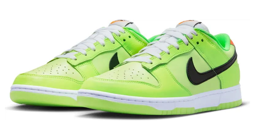 nike-dunk FJ4610-702