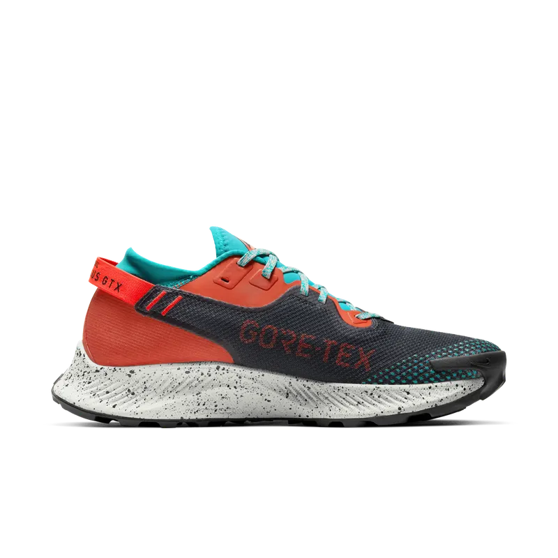 Nike Pegasus Trail 2 GORE-TEX Trail Running Black (DH0202-001)