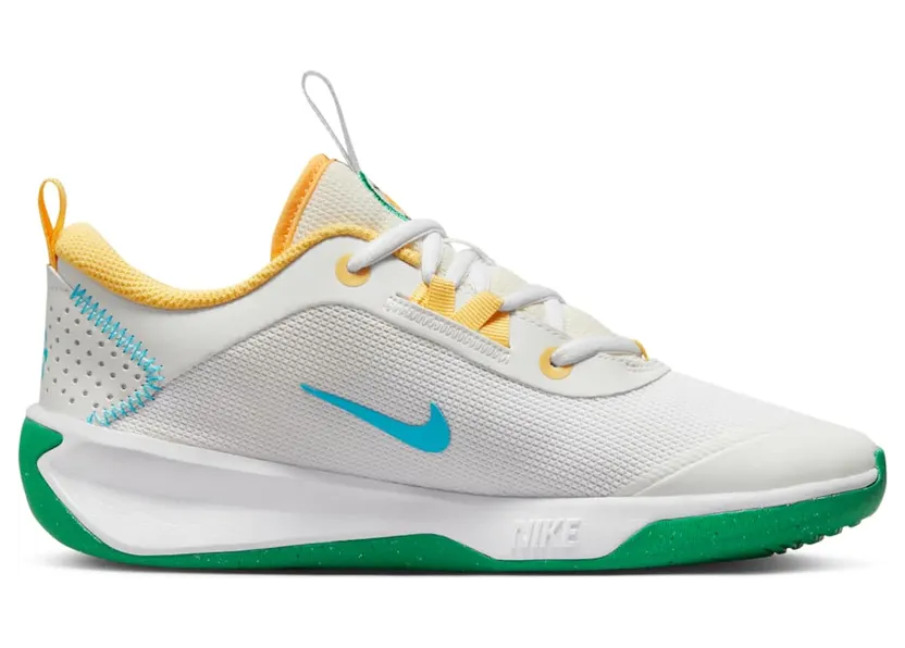 nike-omni-multi-court FJ7719-141