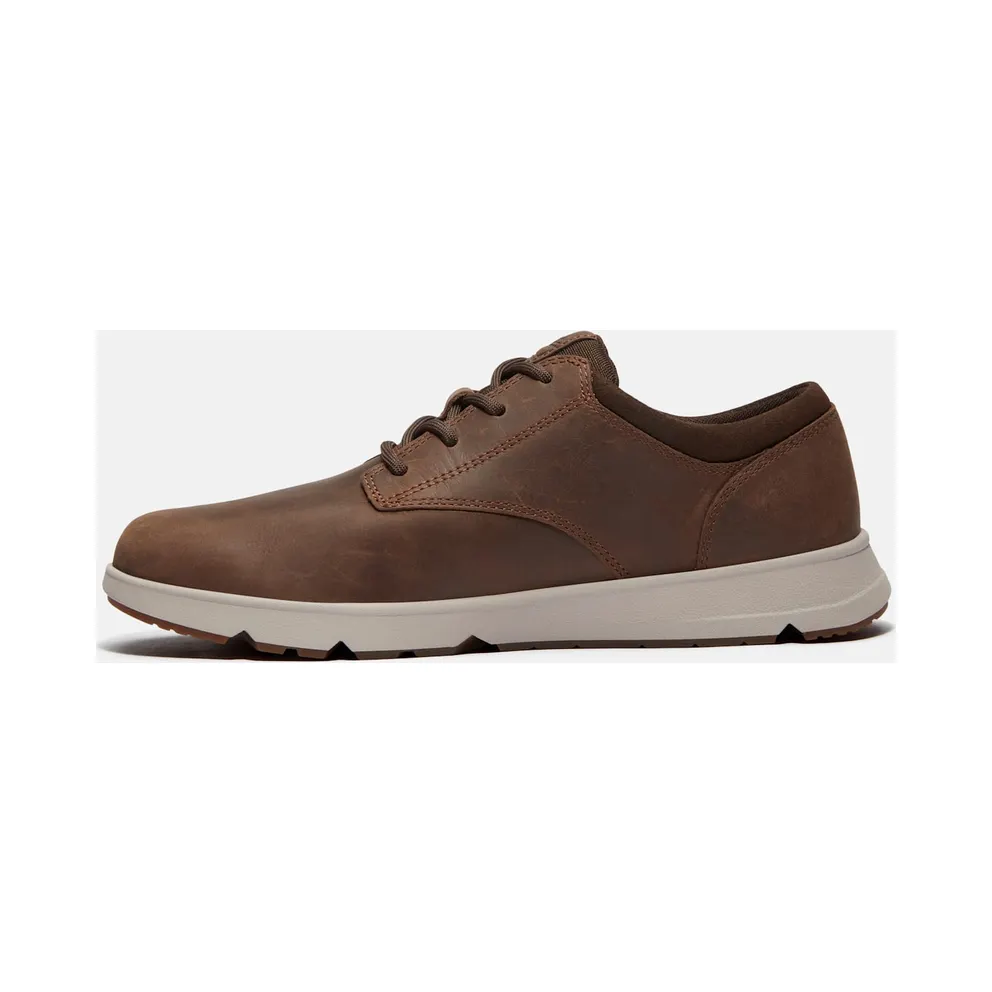 Timberland sneaker Dark Brown Full Grain (TB0A6C8EW01)