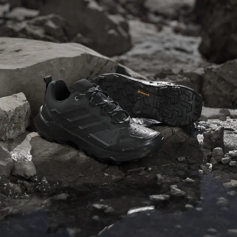 Adidas Terrex Skychaser AX5 GORE-TEX Hiking Shoes Carbon / Core Black / Semi Flash Aqua (JQ2222)