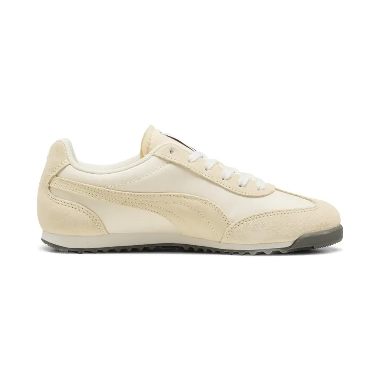 puma-arizona 398682_36