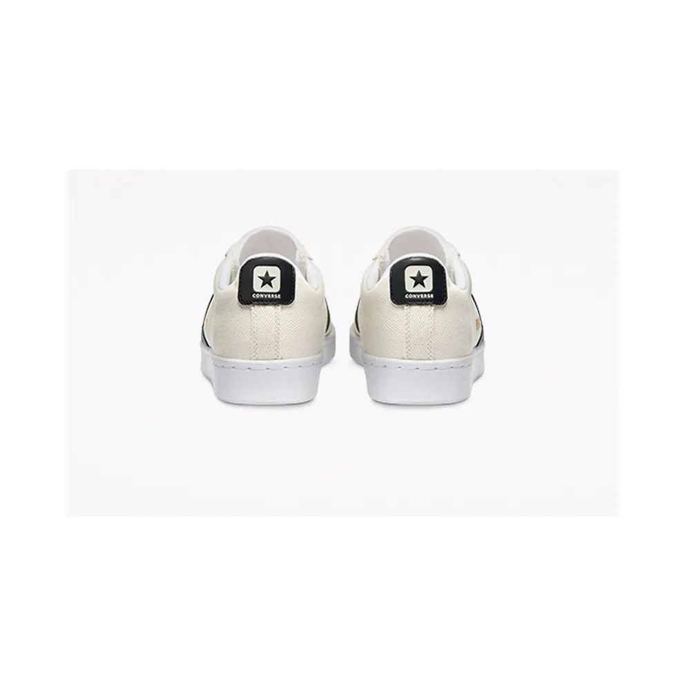 Converse Court Daze Pro Leather Low Top Egret/Black/White (170752C)