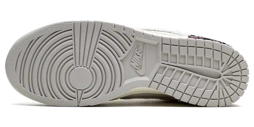 nike-dunk DJ0950-100
