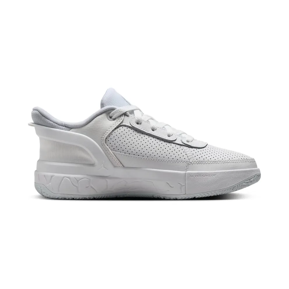 Jordan DAY1 EO White Summit White Pure Platinum (FQ1306-101)