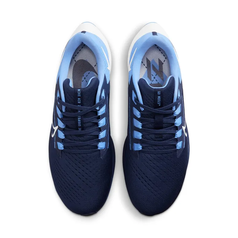 Nike Air Zoom Pegasus 38 UNC (DJ0860-400)