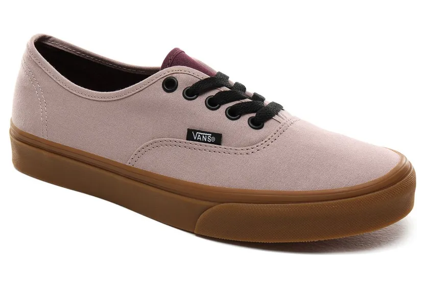 vans-authentic VN0A2Z5IV4S