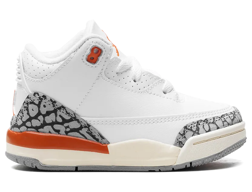 air-jordan-3 FQ9175-121
