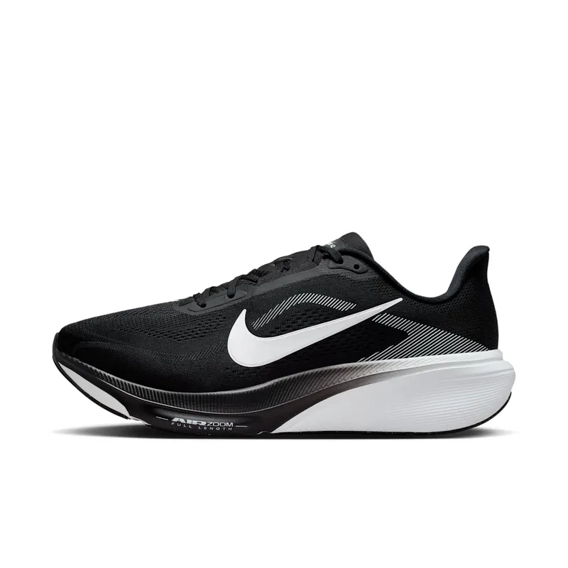 Nike Pegasus Black/Photon Dust/White (IR1228-001)