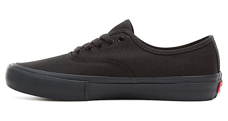 vans-authentic-pro VN000Q0DBKA