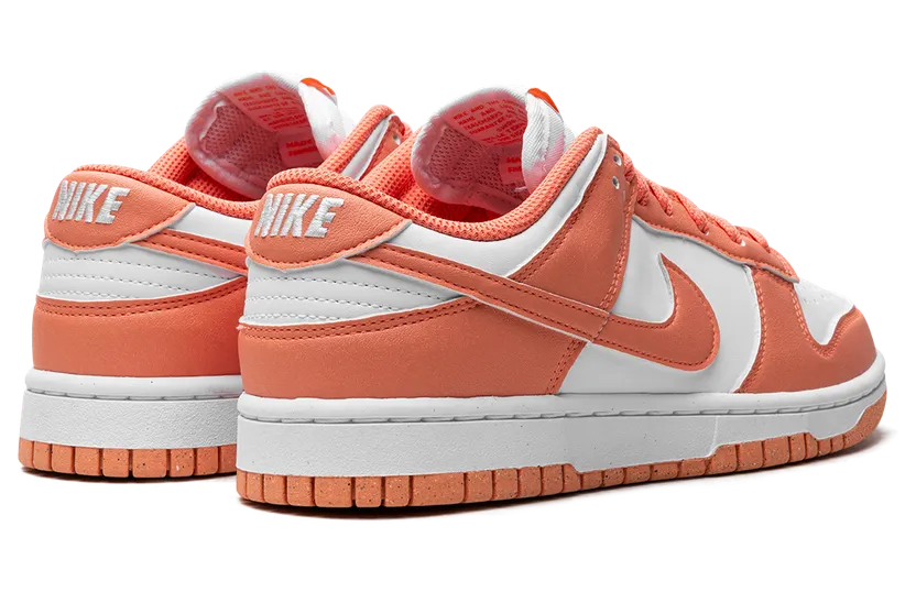 nike-dunk DD1873-109