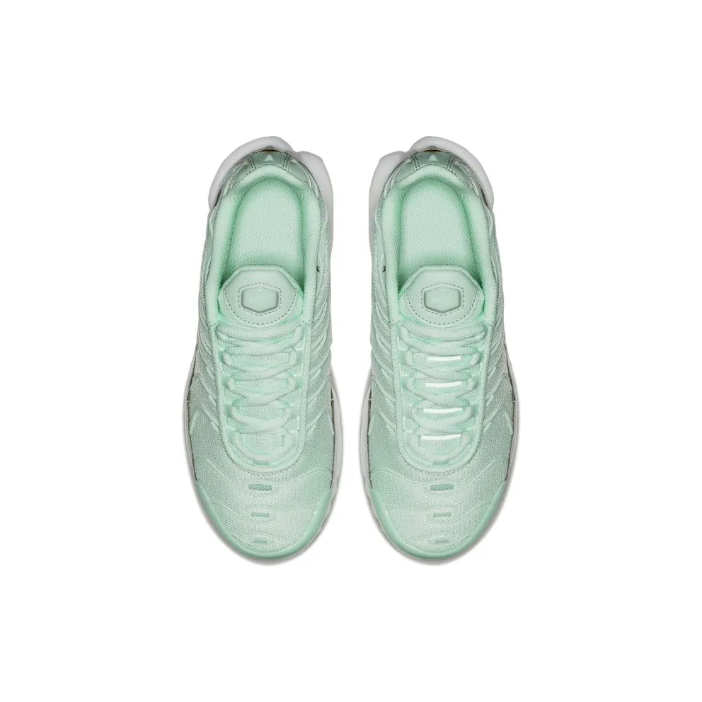 Nike Air Max Plus Igloo (GS) Igloo/White-Igloo (718071-300)