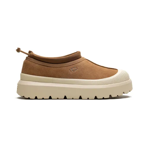 ugg-tasman 1144096-CWTC
