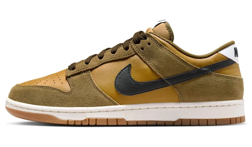 nike-dunk IB6399-300