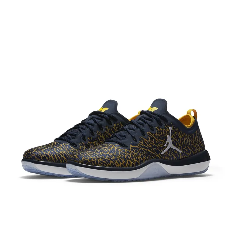 Jordan Trainer 1 Low Michigan College Navy/White-Amarillo (845403-420)