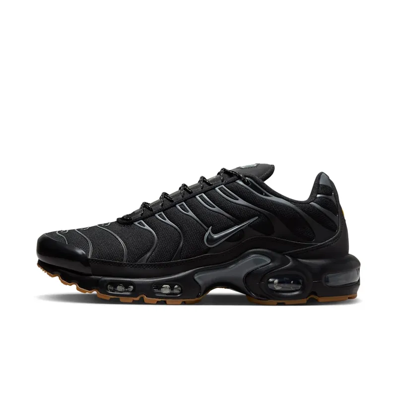 Nike Air Max Plus Black Gum Light Brown (FV0385-001)
